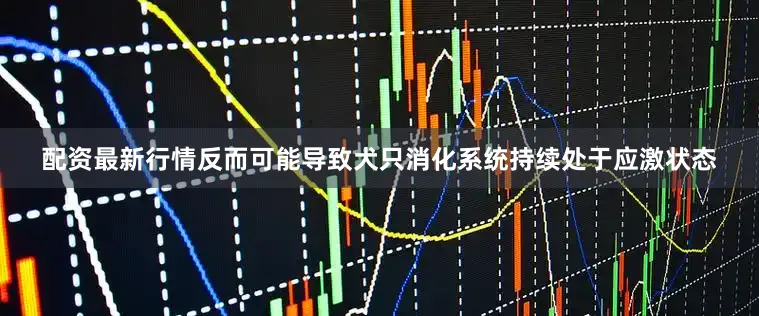 配资最新行情反而可能导致犬只消化系统持续处于应激状态