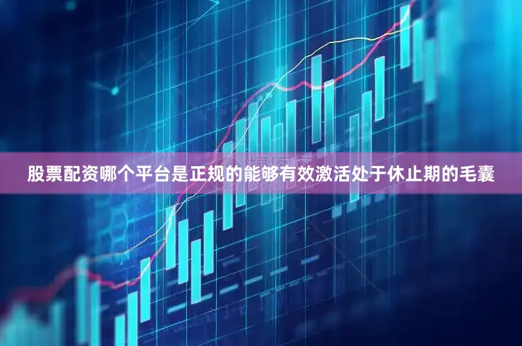 股票配资哪个平台是正规的能够有效激活处于休止期的毛囊